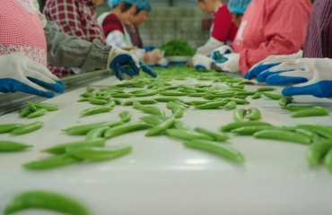 分界镇：聚焦四个方向 续写高质量发展新篇