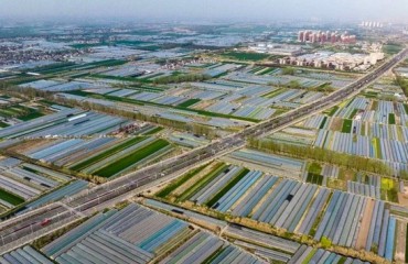 安徽省高标准谋划农业农村工作