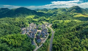 风物有信，赴一场姚村的慢约