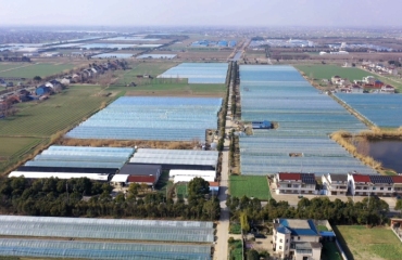 暖棚筑牢防寒屏障 设施果蔬稳产无忧