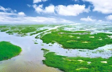 “十四五”以来，江苏累计修复湿地19.4万亩，成绩斐然