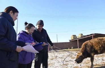 首提“常態(tài)化精準(zhǔn)幫扶” 專家解讀2026年中央一號(hào)文件
