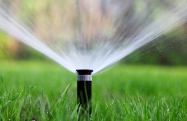 江蘇21個科技小院通過國家質(zhì)量監(jiān)測