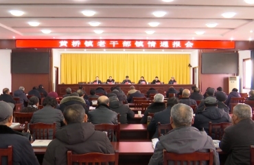 黄桥镇召开老干部镇情通报会