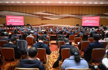 代表为上海“挑大梁”竞相献计