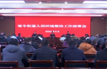延令街道启动迎新年人居环境整治