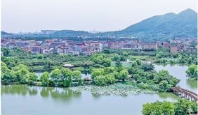 杭州临平从“融”出发 启“十五五”新程