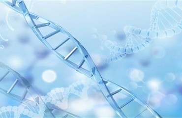 安徽：集成创新激活生物医药“强引擎”