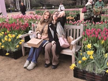 上海年宵花市“热”，体验式消费成为新支点