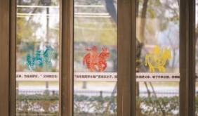 观马寻马说马，“众马”纷呈