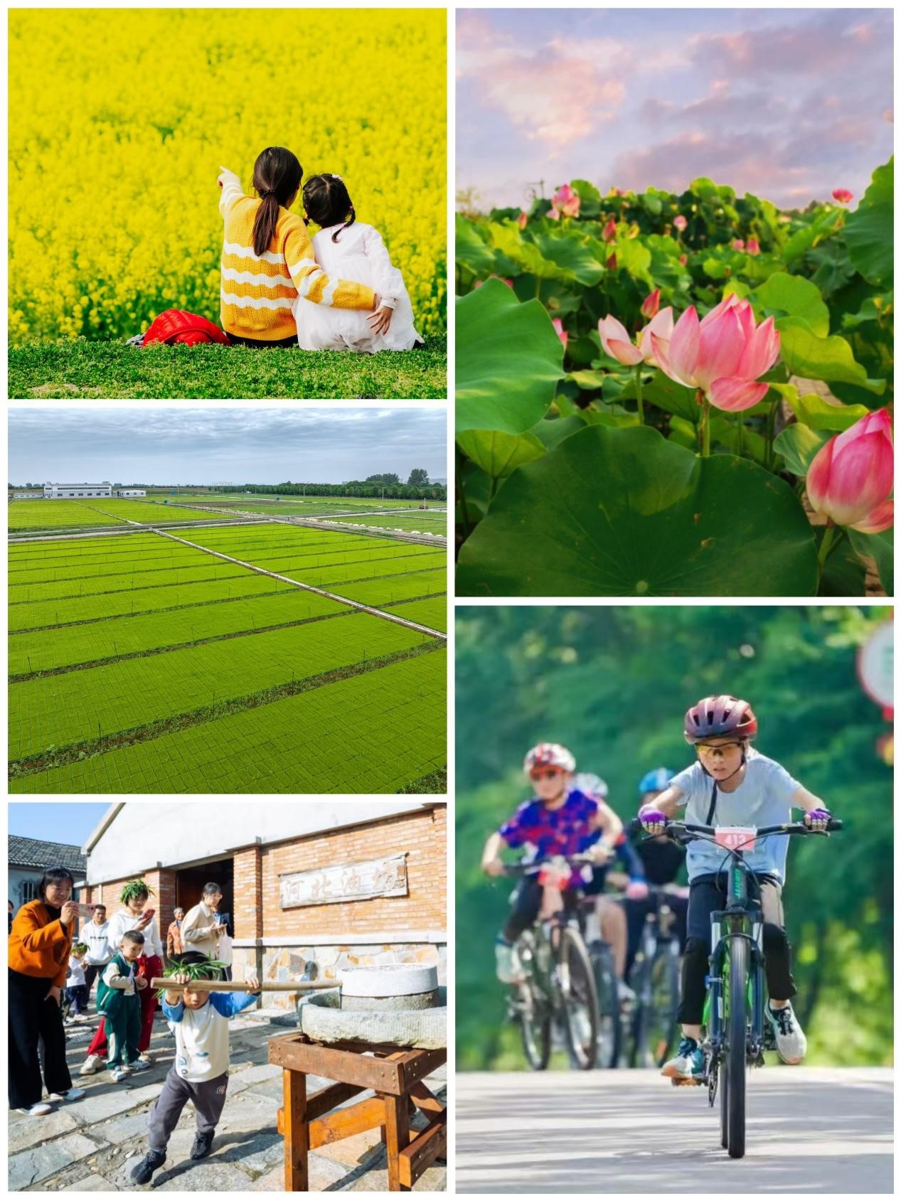 a02851b6ff868ea405bfd0a990d2d6c3