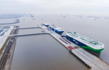 解码“德企之乡”的谋与为