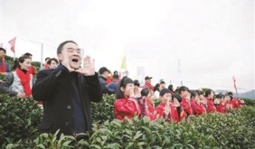 “茶發(fā)芽” 一起來喊醒春山 在千年儀式里解鎖春日新玩法