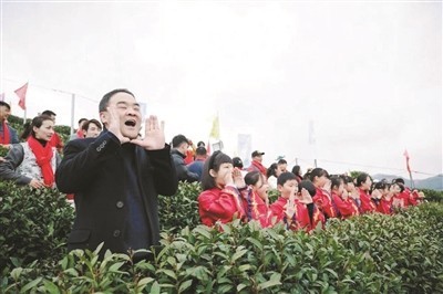 “茶發(fā)芽” 一起來喊醒春山 在千年儀式里解鎖春日新玩法