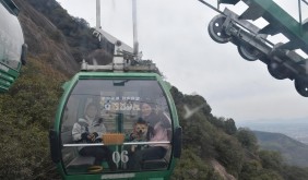 “毛孩子”帶火長三角小城旅游新賽道