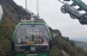 “毛孩子”帶火長三角小城旅游新賽道