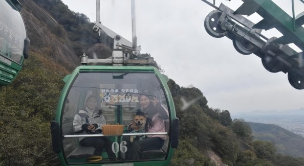 “毛孩子”帶火長三角小城旅游新賽道