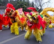 元宵去哪玩？江蘇各大景區(qū)活動來了