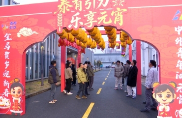 “泰有引力·樂享元宵”中外人才聯(lián)誼嘉年華啟動