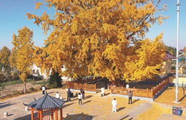 “文學繁花”能否“點亮”一方發(fā)展