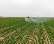 14年聚焦“三農(nóng)”，江蘇省委一號文件里的“變”與“不變”