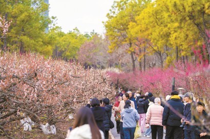 未來十年 上海再建1000座公園