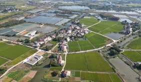 江蘇金壇：地下儲氣庫，地上豐收田