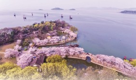 太湖之濱繪就營商環(huán)境新圖景