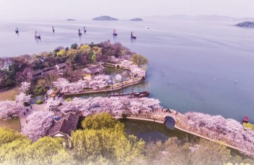 太湖之滨绘就营商环境新图景