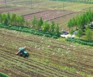 在上海，“小農(nóng)業(yè)”何以蘊含“大能量”、具有“大貢獻”