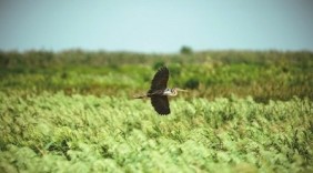 民法典之后，我国第二部法典为什么选择生态环境领域？