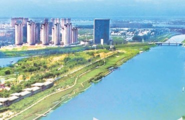 宿州：土特产里的振兴答卷