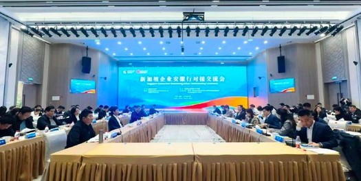 28家新加坡企业开春来皖聊什么