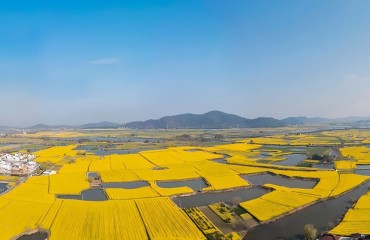 安徽芜湖：响水涧的油菜朵朵开
