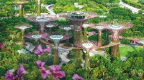 国外城市如何能“都市藏秀，绿野共生”？