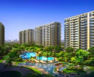 上海商辦房地產(chǎn)市場迎利好 房貸首付調(diào)整為不低于30%