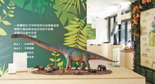 了解家鄉(xiāng)，從讀懂自然博物館開始