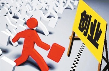 金华点亮小微创业新图景