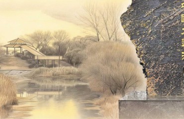 从一行柳赏运河，悠悠文脉“正青春”