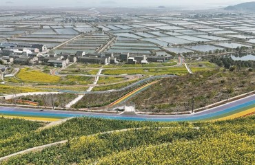 宁波这一条路藏着怎样的“共富密码”?