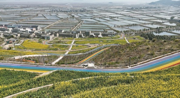 宁波这一条路藏着怎样的“共富密码”?