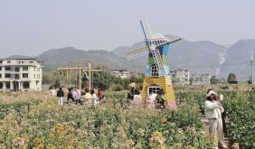 不止赏花，台州乡村游玩出新花样