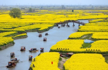 江苏兴化：守护生态底色 绘就如画水乡