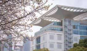 上海多植“鄉(xiāng)土枝葉” 點綴千園之城