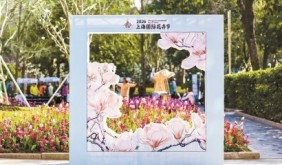 用一顆文心，點(diǎn)亮玉蘭香