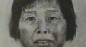 人販子“梅姨”落網(wǎng)，為何多年難抓捕？