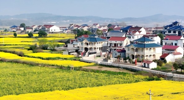 望江縣第十屆油菜花賞游系列活動啟動