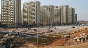 “春日經(jīng)濟(jì)”下，“共享菜園”為啥火了？