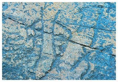 尋史訪碑，南京大學(xué)教授程章燦與石刻“對(duì)話”