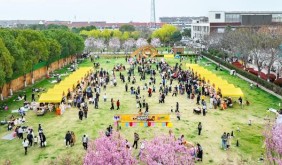 浙江平湖鐘溪櫻花文旅季啟幕 30余項活動共赴春日之約